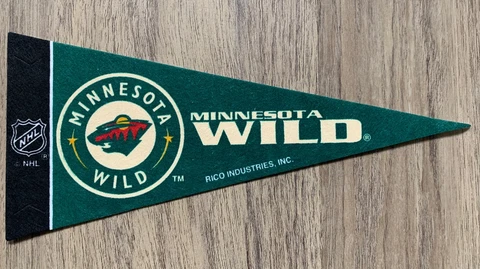 Minnesota Wild NHL Felt Mini Pennant 4" x 9" Banner Flag Souvenir Logo NEW Cover