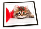 Cute Kitten Cat Wool Red FRAMED ART PRINT Picture Poster Artwork