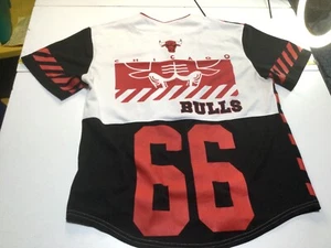 NBA Chicago Bulls #66 Baseball Style Jersey AOP Sz Large - Picture 1 of 9