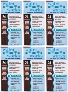 Water Works Permanent Powder Hair Color #24 Natural Medium Brown (6 Pack) - Picture 1 of 2