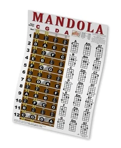 Mandola Chord Fretboard Instructional Wall Chart Poster Notes Chords - Picture 1 of 7