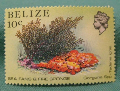 Belice 1984 -10c ventiladores de mar y esponja de fuego-MNH único-#705 Foto 1 de 2