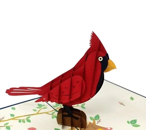 Cardinal 3D Pop Up Greeting Card, For Happy Birthday thinking of you get well - Picture 1 of 4