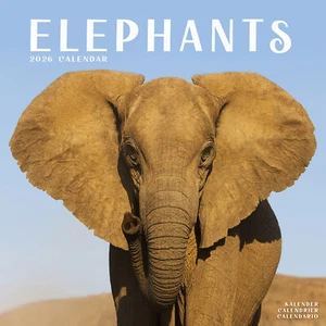 Elefantes 2026 Calendario Regalo Pared 15% DE DESCUENTO VARIOS PEDIDOS - Imagen 1 de 8