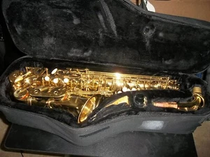 Rossetti Altsaxophon mit Mundstück in gutem Zustand mit Koffer - Bild 1 von 9