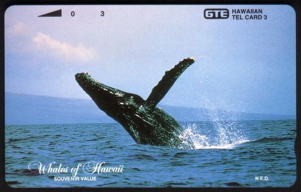 Scheda telefonica TK 193b 3u 'Whales of Hawaii' Humpback Whale Breaching