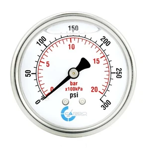 2" Pressure Gauge, Stainless Steel Case, Liquid Filled, Back Mnt, 300 Psi - Picture 1 of 4