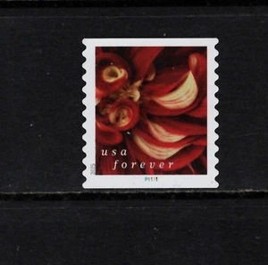 Used OFF paper PNC #5986 Dahlias 2025 – Forever _pnc32 - Picture 1 of 1