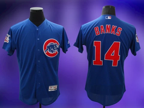 Men's Chicago Cubs #14 Ernie Banks Flex  Cool Base Stitched Jersey All CS Cover