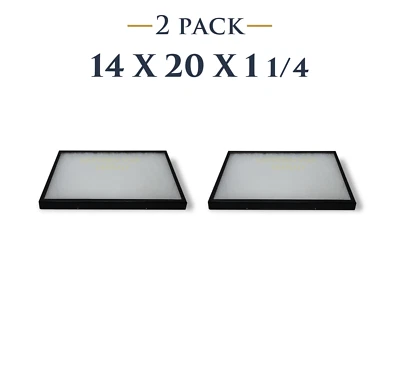 SOUTHERN STAR DISPLAYS 2 Pack of 14 x 20 x 1 1/4 Riker Display Cases Boxes for Collectibles Arrowheads