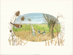 1982 Birds in Wild Teasel Field Print by Bernard Picture Company 24x18 in - Picture 1 of 1