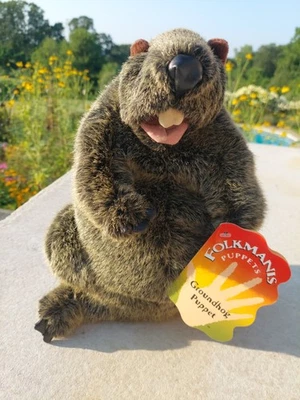 Folkmanis Groundhog Day Hand Puppet 11" Plush Stuffed Animal Toy New With Tag - Image 1 of 4