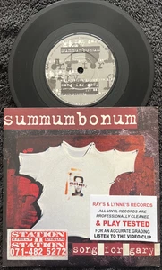 Summumbonum – Song For Gary 7'' Vinyl 1994 CLEANED/PLAY TESTED EX/EX VIDEO INDIE - Foto 1 di 8