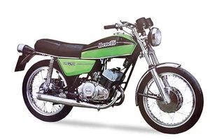 MANUALE D'OFFICINA MANUALE RIPARAZIONI BENELLI 125 2C PDF DVD REPAIR SERVICE - Imagen 1 de 1