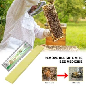 20x Bee Mites Strip Medicine Pest Control Durable Drinker Tool--- A1Q1 - Picture 1 of 7