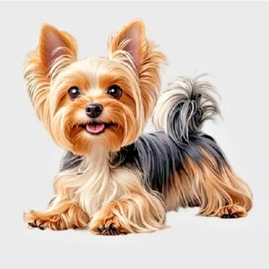 Einzigartiger HUND HAUSTIER YORKIE Anhänger an plattierter 925 Silber 20" 22" Halskette - Bild 1 von 13