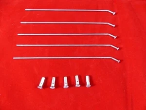Repuesto Pit Bike 5 radios para llanta rueda delantera SDG 17". 189mm x 3mm - Imagen 1 de 1