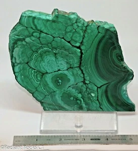 Chatoyant Congo Malachite lapidary slab 15.4 oz (440 grams) - Picture 1 of 8