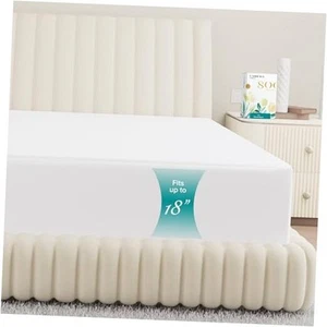 Luxury 100% Egyptian Cotton Fitted Sheet Only - Premium 800 King Crisp White - Picture 1 of 7