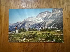 THE GARDEN WALL-GLACIER NATIONAL PARK VINTAGE UNPOSTED POSTCARD - Picture 1 of 2