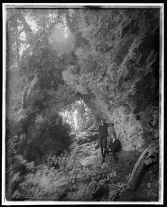 Fairy Arch,Mackinac Island,rock formations,children,forests,Michigan,MI,c1906 - Picture 1 of 1