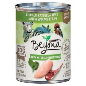 Immune Health Wet Dog Food Real Soft Chicken, Lamb & Spinach, 13 oz Cans - Picture 1 of 10