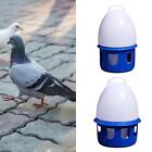 Pigeon Waterer Tränke Bewässerung Automatischer Vogelwasserspender für