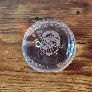 PawSox Kristall Baseball Briefbeschwerer - Minor League Red Sox Erinnerungsstücke - geätzt - Bild 1 von 6