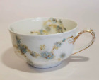 Haviland Cup Blue Chrysanthemums or Asters No Saucer c. 1893