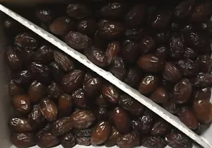 11LB MED JOOL DATES- VERY SOFT (RUTOB). FRESH CALIFORNIA. FAST FREE SHIPPING. - Picture 1 of 3