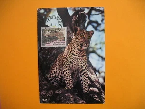 Card Maximum Laos - Carte Maximum Laos - Tiger - Tigre Panthère Léopard  - Picture 1 of 1