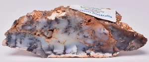 Merlinite Polished Slice, Dentritic Chalcedony, 205 grams Australia S08 - Imagen 1 de 7