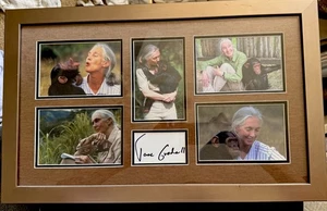 Jane Goodall, signed handsigniert, gerahmt Signature Cut, - Bild 1 von 2