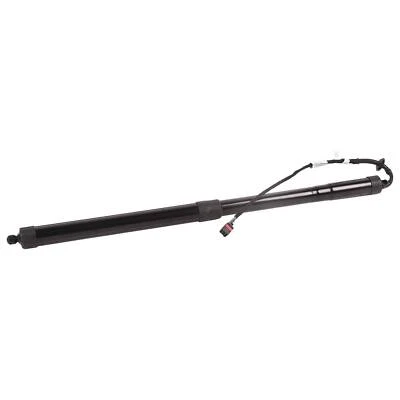 For Land Rover Range Rover Sport 2012-2013 Rear Power Trunk Strut Lift Support Foto 1 de 4