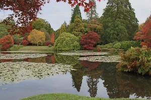 Sheffield Park Autumn No 5 Original Photographic Print A1 Box Canvas Wall Art - Picture 1 of 1