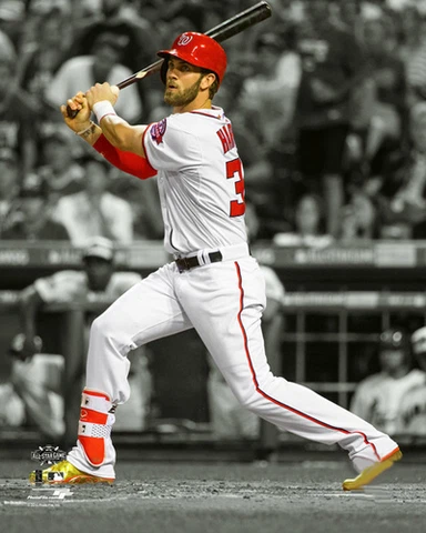 Bryce Harper SPOTLIGHT Washington Nationals Premium MLB 16x20 POSTER Print Cover