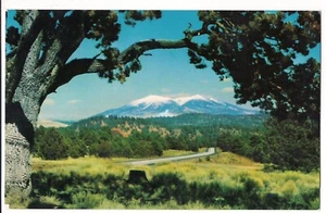 SAN FRANCISCO PEAKS Alligator Juniper Interstate Highway 40 Arizona Postcard AZ  - Picture 1 of 2