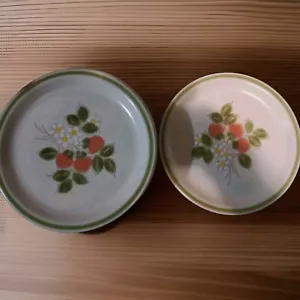 Spring Collection Stoneware 10-3/4” Dinner Plates Strawberry Patch Pattern Japan - Picture 1 of 6