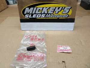 KAWASAKI EJ650 NINJA EL250 ER500 EX250 KE100 KLX110 PEDAL DAMPER SHIFTER RUBBER - Bild 1 von 12