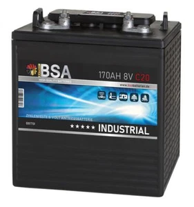 Batterie 8V 170Ah Traktionsbatterie Antrieb Gabelstaplerbatterie Golf Cart - Bild 1 von 2
