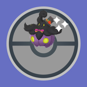 ✨ NEW Shiny Pumpkaboo (Spooky Halloween Costume) (All Size) (#710) - Pokémon GO✨