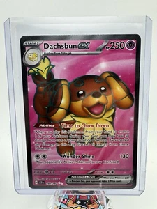 Dachsbun ex 160/142 Full Art Double Rare Pokemon Stellar Crown NM - Picture 1 of 2