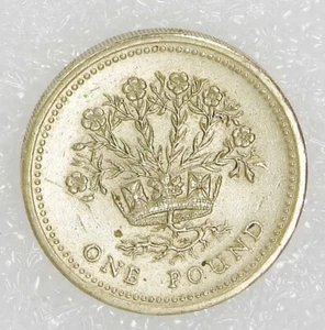 1991 UK Elizabeth II BRITISH ONE 1 POUND COIN Flax Plant Decus Et Tutamen - Picture 1 of 2