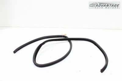 Dodge Charger 2012-2023 panel de puerta lateral derecha sello de resistencia OEM Foto 1 de 4