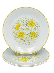Vintage Corelle Expressions Large 10” Plates 2108-14 April Set Of 4 Very Nice - Picture 1 of 4