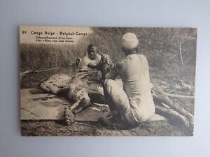 Postkarte Belgisch Kongo "Het villen van een leeuw" um 1920 (82393)