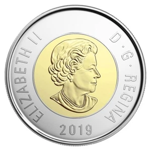 Canada 2019 $2 Toonie 14 serration & 16 serration varieties BU 2 coins Rare ! - Bild 1 von 2