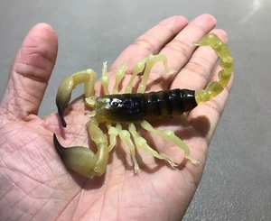 Bandai Japan Exclusive Dango Mushi Israel Golden Scorpion 4” Figure - Picture 1 of 4