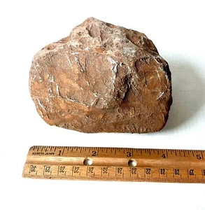 1.9 lb Volcanic Orange Rock w White Veins for Natural Terrarium Decor Washington - Picture 1 of 7