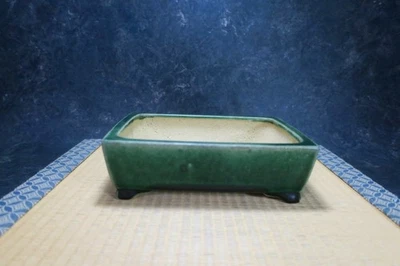 Olla Bonsai Japonesa Genuina "Shibakatsu" de Tokoname. Foto 1 de 4